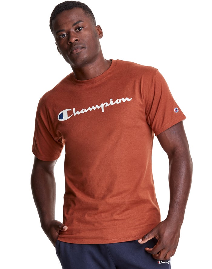 Champion Mens T-Shirt NZ - Classic Jersey Script Logo Brown ( 7035-DIHQR )